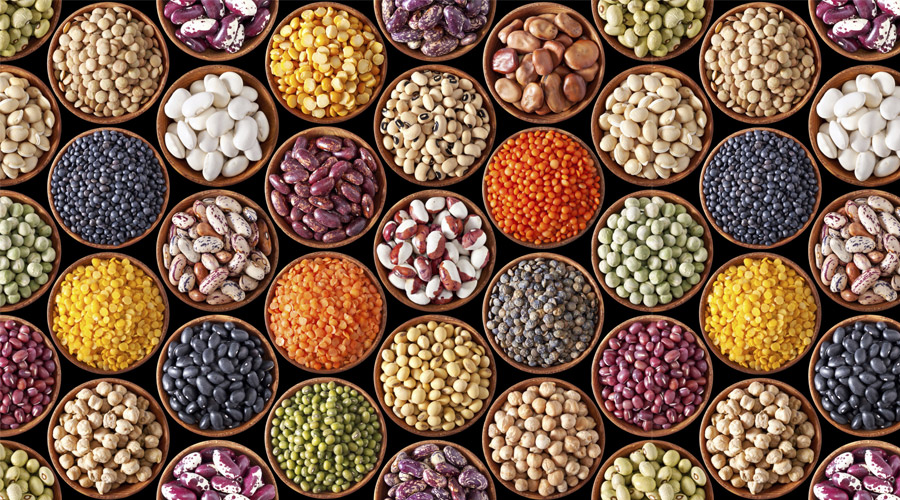 Types of Cereals and Pulses
